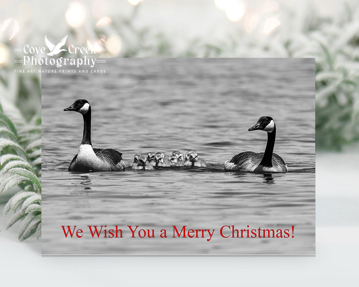 A Christmas Card with a black and white image of Canada geese and ten goslings sends the message "We wish you a Merry Christmas" at Cove Creek Photography.