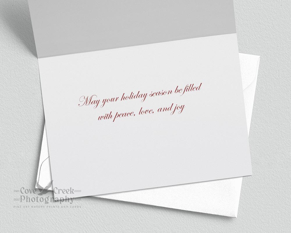 Handmade Nature Aesthetic Christmas Cards - Carolina Chickadee Bird Photography 