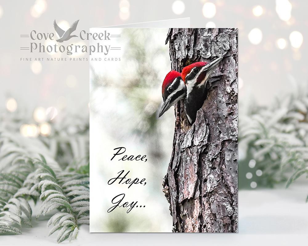 Pileated woodpecker nestlings on handmade Christmas cards offered exclusively at Cove Creek Photography