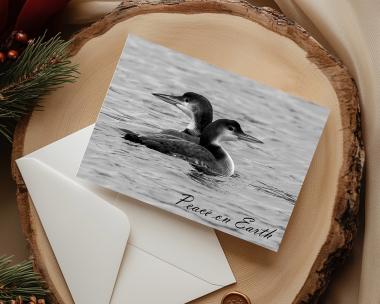Common loon "Peace on Earth" Christmas cards with black and white photography of two loons at Cove Creek Photography. 