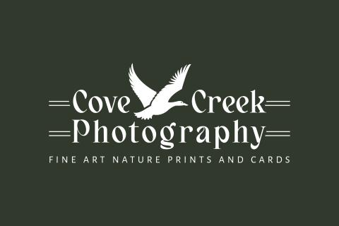 Cove Creek Photography