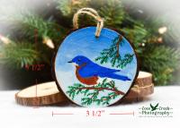 Measurements for a handmade eastern bluebird wood slice ornament at covecreekphotography.com.