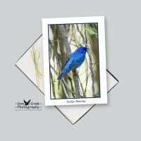 Nature Theme Note Card Stationery - Songbirds of the Eastern United States