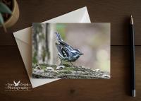 A nature photography any occasion card that can be personalized or purchased blank at covecreekphotography.com.