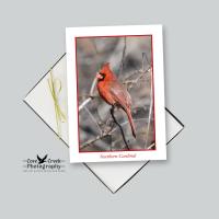 Nature Theme Note Card Stationery - Songbirds of the Eastern United States