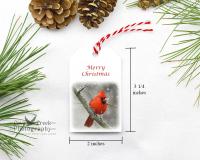 Handmade Merry Christmas Northern Cardinal Gift Tags 