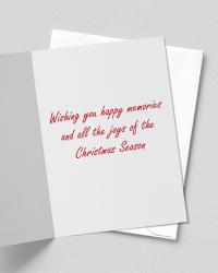 Nature Photography Northern Cardinal Christmas Card Set
