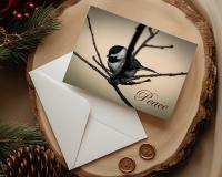 A handmade Christmas card featuring a Carolina chickadee during the golden hour at Cove Creek Photography.