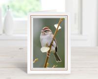 Chipping Sparrow Card