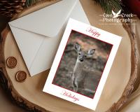 A Christmas card with fine art photography of a white-tailed deer fawn and "Happy Holidays" available at covecreekphotography.com.