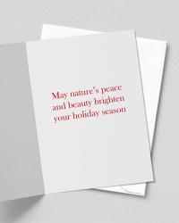 Nature Photography Holiday Card Set with the Message of Peace
