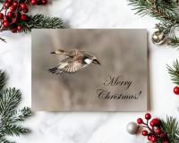 A nature photography holiday greeting card with a gadwall in flight and Merry Christmas at Cove Creek Photography.