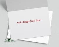 Black and White Photography Wildlife Christmas Cards 
