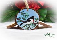 A wood slice Christmas ornament with a hand-painted rose-breasted grosbeak available for purchase at covecreekphotography.com.