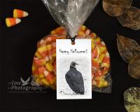 Handmade vulture culture halloween gift bag tags at Cove Creek Photography.