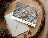 A handmade snow scene Christmas card with nature photography of a red-shouldered hawk at covecreekphotography.com.