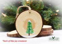 A hand-painted evergreen tree on the back of a handmade blue jay wood slice ornament at www.covecreekphotography.com.