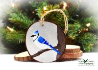 A handmade wood slice Christmas ornament with a hand-painted offered at www.covecreekphotography.com.blue jay