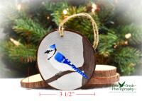 Measurements for a hand-painted blue-jay wood slice ornament at Cove Creek Photography.