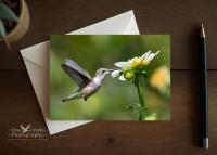 Personalized Greeting Card with Hummingbird