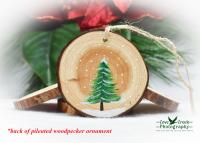 Wood Slice Ornament with Hand-Painted Downy Woodpecker