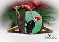 A hand-painted pileated woodpecker on a three inch diameter wood slice available at Cove Creek Photography.