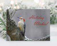 A stunning image of a woodpecker in the snow on a Christmas card with "Holiday Wishes!" that can be purchased at covecreekphotography.com.
