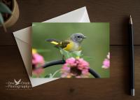 A nature photography folding any occasion card with a small bird in a dahlia garden that is available at Cove Creek Photography.