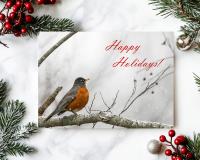A handmade happy holidays greeting card featuring an American robin in the snow at Cove Creek Photography.