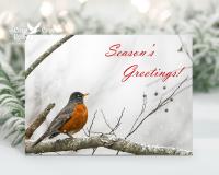 An American Robin in the snow is on the front of a holiday card with the message "Season's Greetings", and can be seen at covecreekphotography.com.