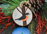 An American robin, state bird of Wisconsin, hand-painted on a wood slice at covecreekphotography.com.
