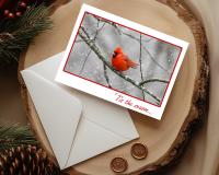 A bright red northern cardinal perched on a tree limb in the snow is on the front of a handmade Christmas card at covecreekphotography.com.
