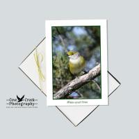 White-eyed vireo blank folding note cards at Cove Creek Photography.