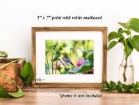 Nature fine art print mounted in a white matboard available at Cove Creek Photography.
