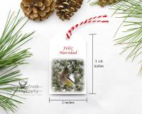 Handmade Feliz Navidad gift tags at Cove Creek Photography.