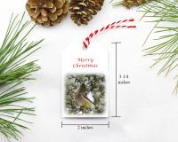 High-end Christmas gift tags featuring original bird photography that are sold at Cove Creek Photography.