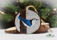 A hand-painted white-breasted nuthatch on a wood slice Christmas ornament at covecreekphotography.com.