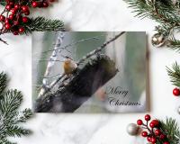 A handmade nature photography Christmas card with a Carolina wren in a forest and Merry Christmas at Cove Creek Photography.