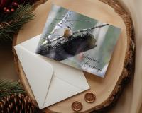 A holiday card with nature photography of a Carolina wren in the forest at covecreekphotography.com.