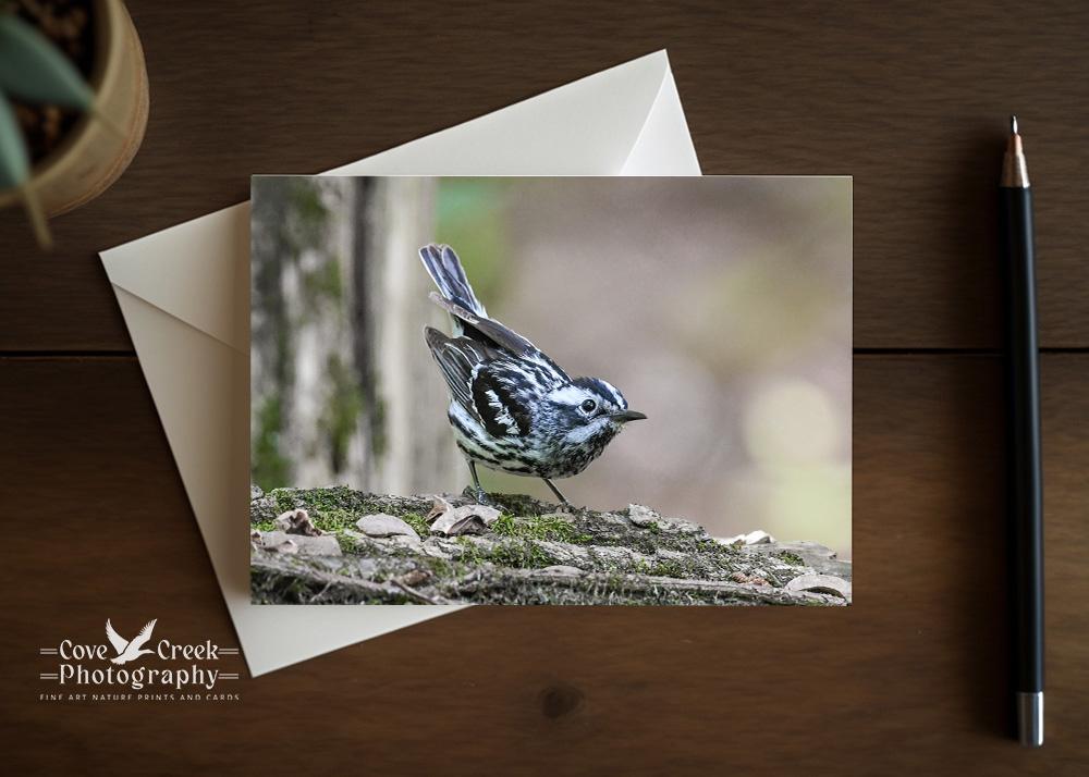 A nature photography any occasion card that can be personalized or purchased blank at covecreekphotography.com.