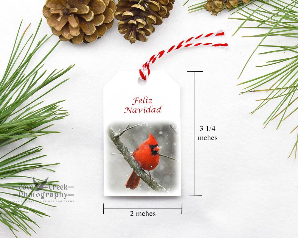 Feliz Navidad gift tags with cardinal snow scene at Cove Creek Photography.