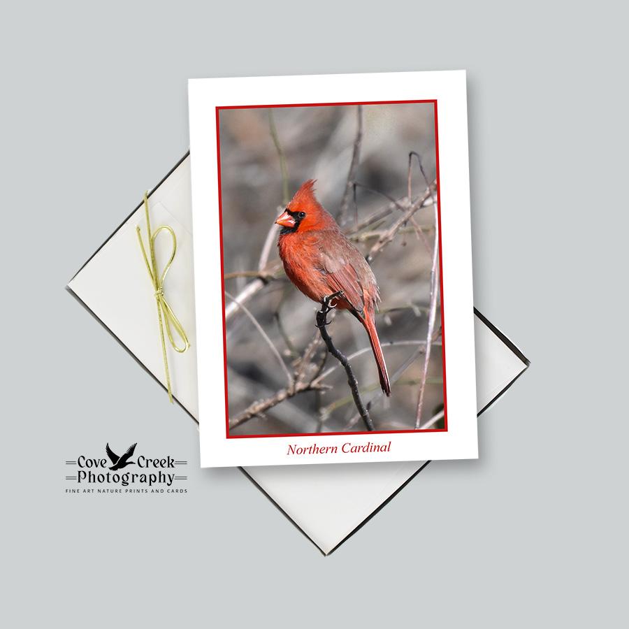 Nature Theme Note Card Stationery - Songbirds of the Eastern United States