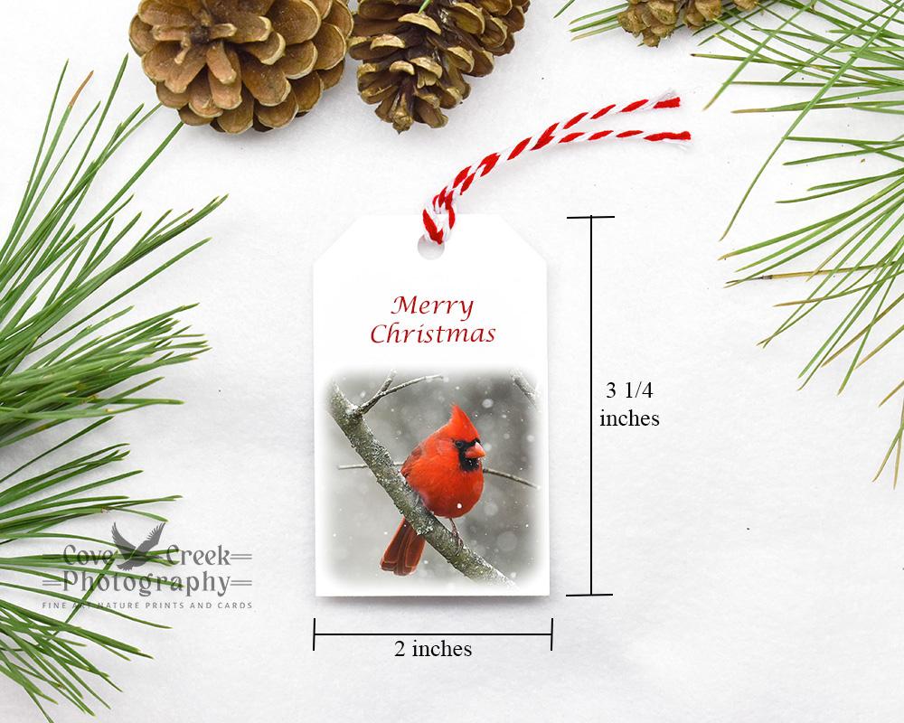 Handmade Merry Christmas Northern Cardinal Gift Tags 