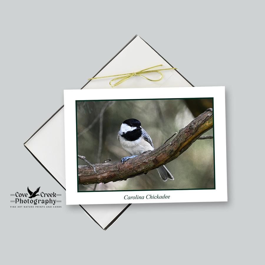 Carolina Chickadee Boxed Stationery Set