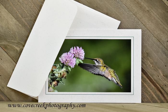 Hummingbird Card