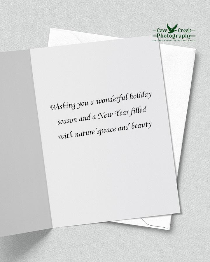 Rustic Nature Themed Boxed Christmas Card Set - Season's Greetings
