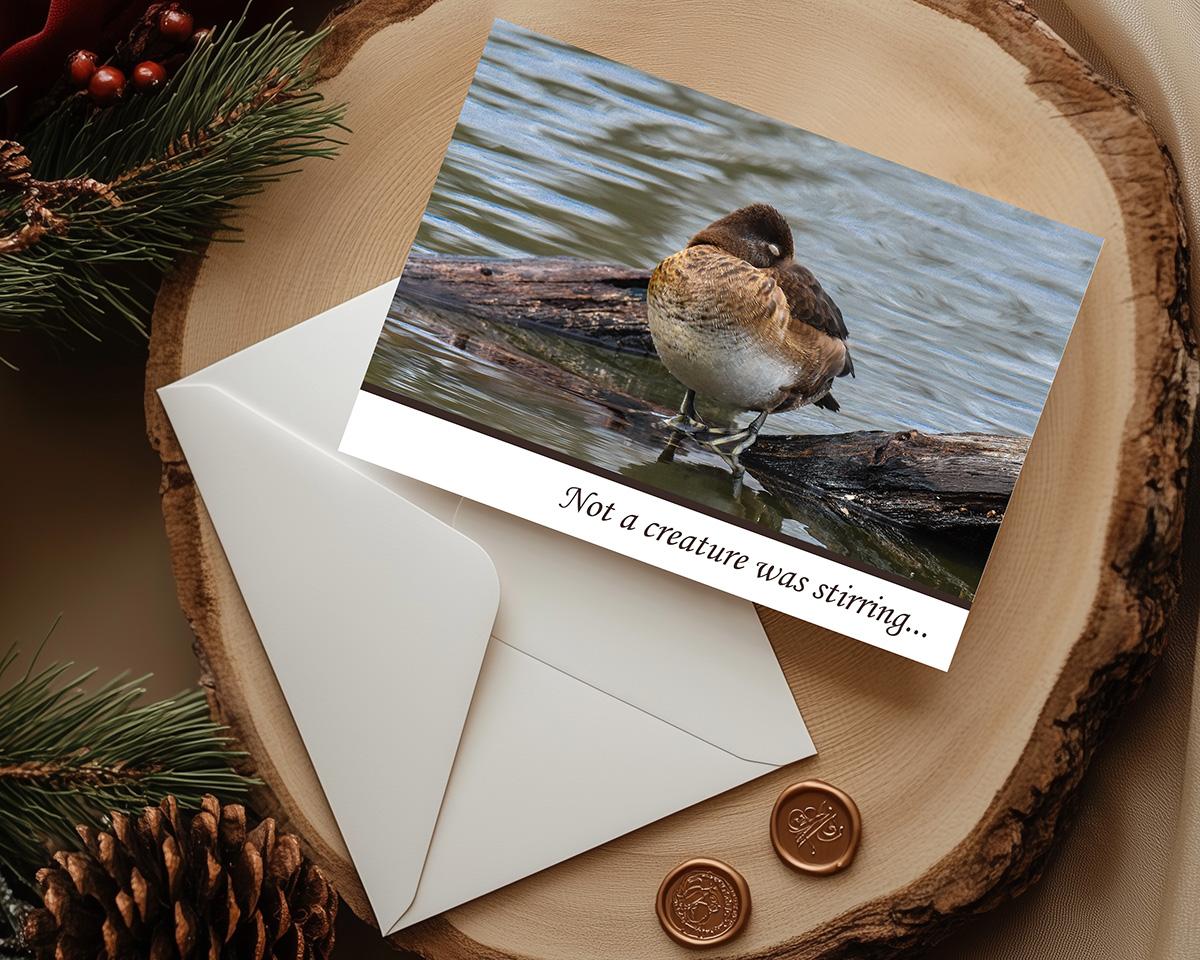 Nature photography of a sleeping duck on a log on a wildlife photography Christmas card at covecreekphotography.com.