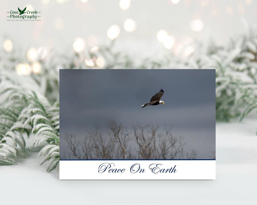 A bald eagle soaring above the treetops nature photography Christmas card at Cove Creek Photography.