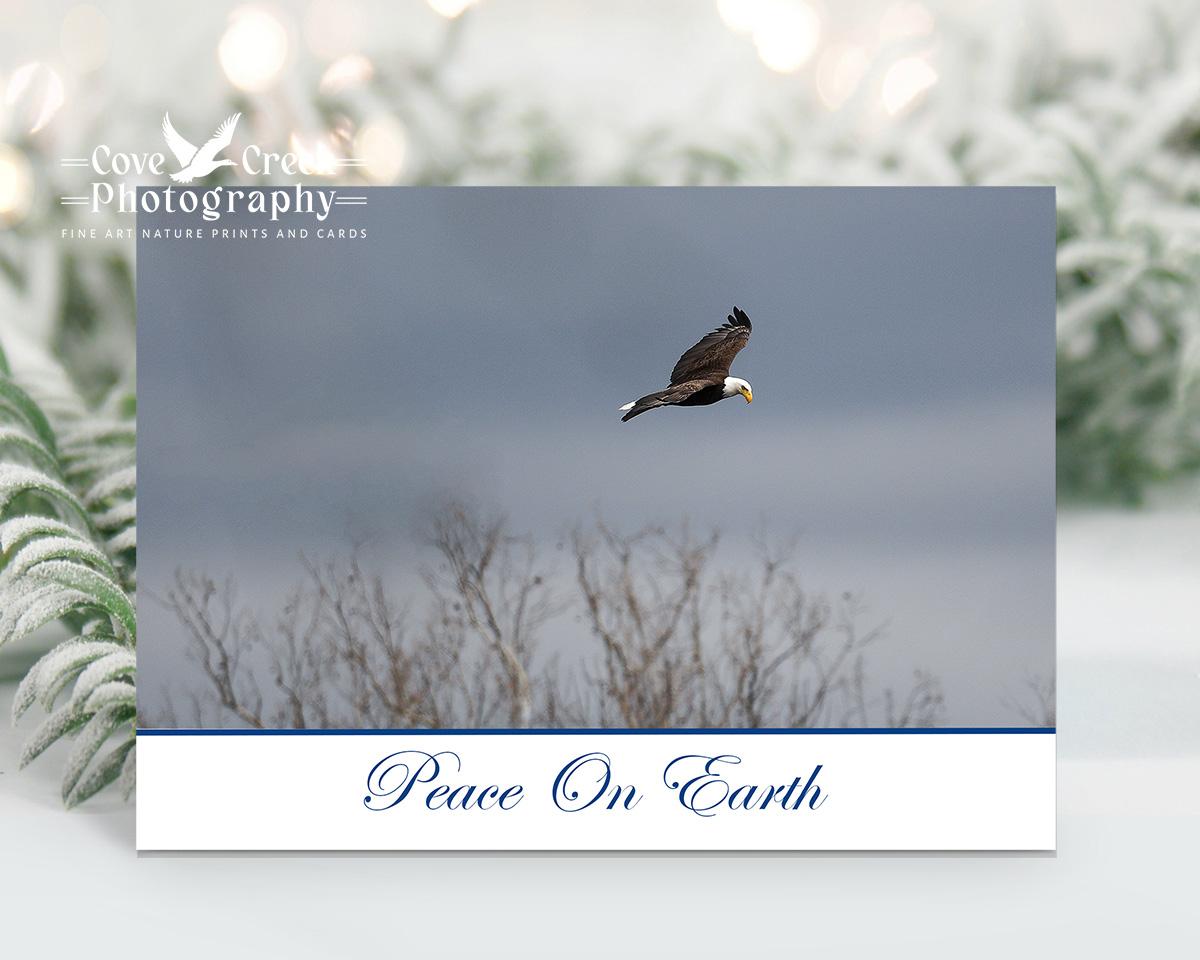 Bald Eagle Christmas cards available at Cove Creek Photography