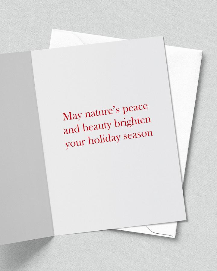 Nature Photography Holiday Card Set with the Message of Peace